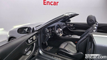 Mercedes-Benz E-Class W213 E220d Cabriolet (12.2019)