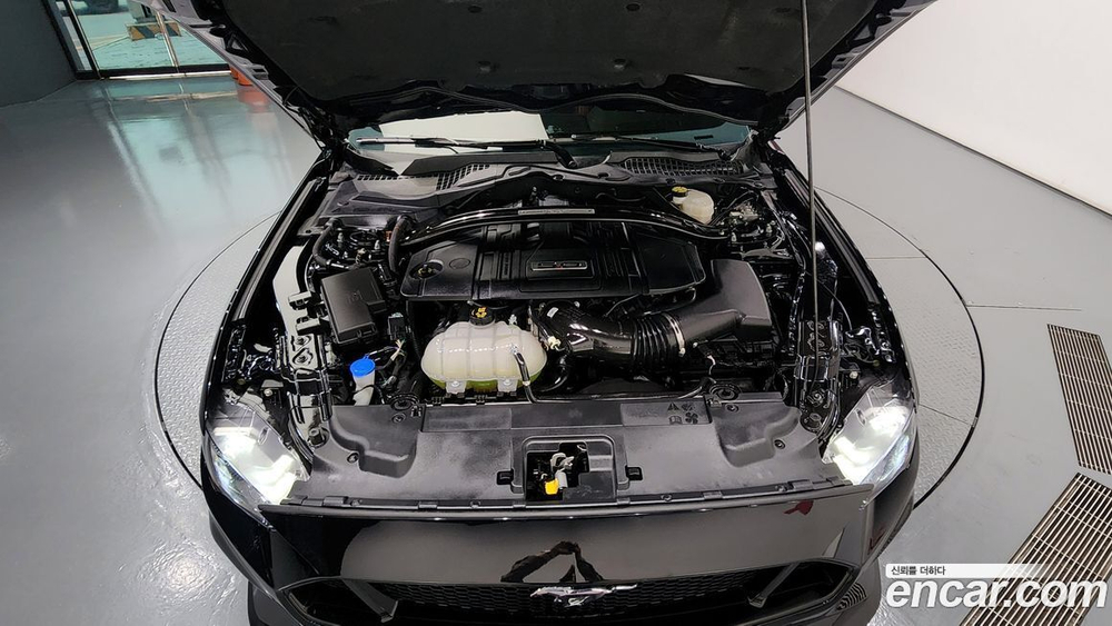 Ford Mustang GT Coupe (06.2021)