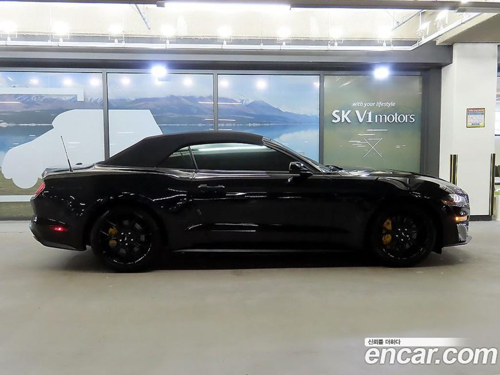 Ford Mustang Convertible (12.2022)