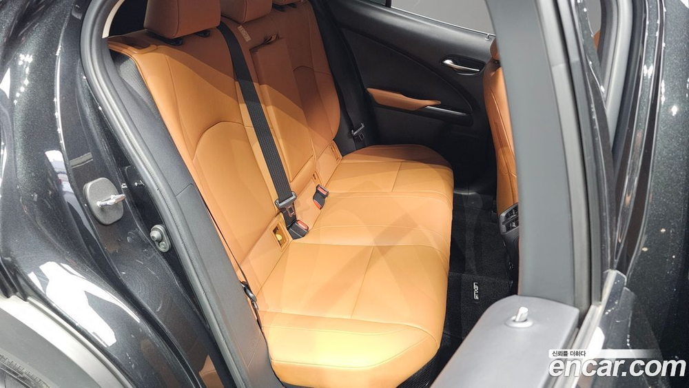 Lexus UX250h 2.0 2WD (10.2019)