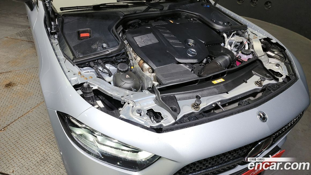 Mercedes-Benz CLS-Class C257 CLS300d 4MATIC (05.2022)