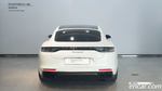 Porsche Panamera (971) 2.9 AWD Platinum Editions (08.2022)