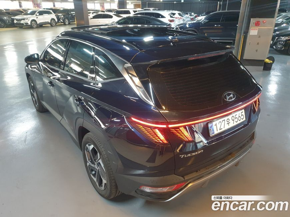 Hyundai Tucson (NX4) Бензин 1.6 Turbo 2WD (08.2023)