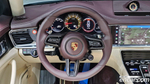 Porsche Panamera (971) 2.9 AWD Platinum Editions (04.2023)