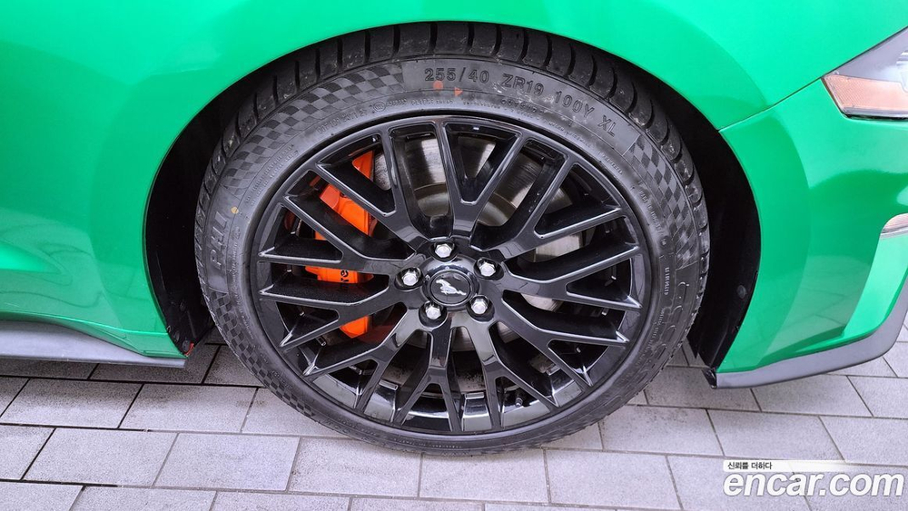 Ford Mustang GT Coupe (08.2019)
