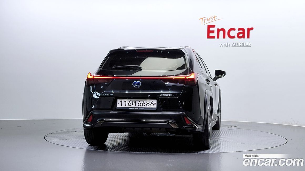 Lexus UX250h 2.0 F-Sport 2WD (04.2021)