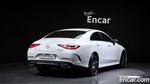 Mercedes-Benz CLS-Class C257 CLS450 4MATIC AMG Line (10.2019)