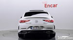Mercedes-Benz CLS-Class C257 CLS450 4MATIC AMG Line (12.2020)