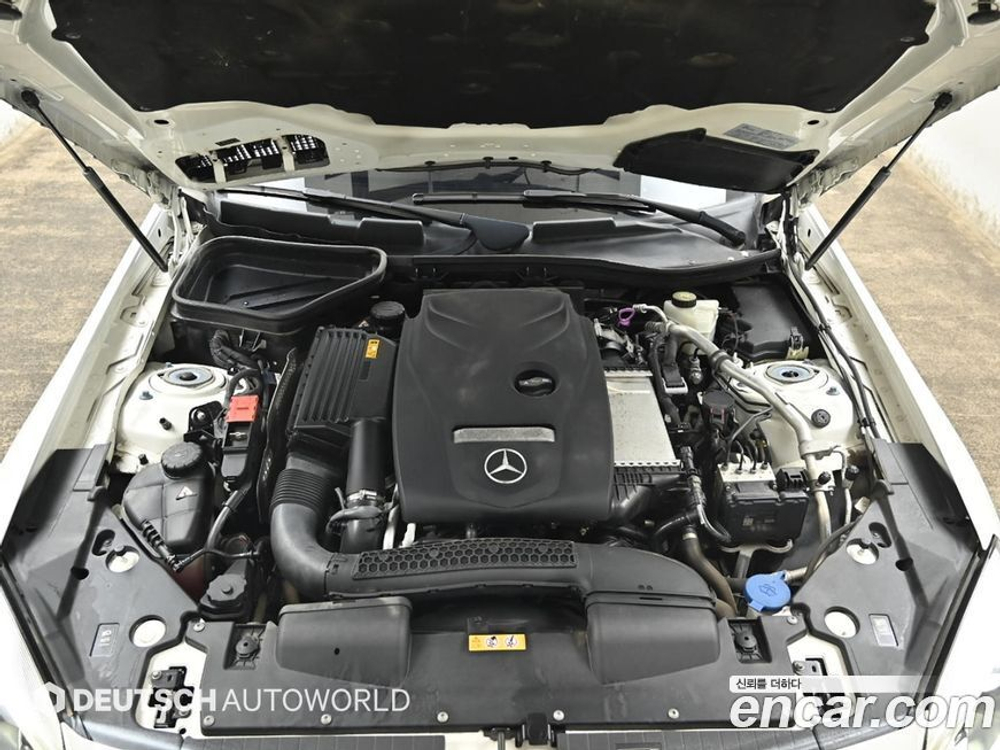 Mercedes-Benz SLC-Class R172 SLC250 (09.2019)