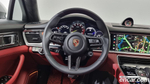 Porsche Panamera (971) 2.9 AWD E-Hybrid Platinum Editions (04.2023)