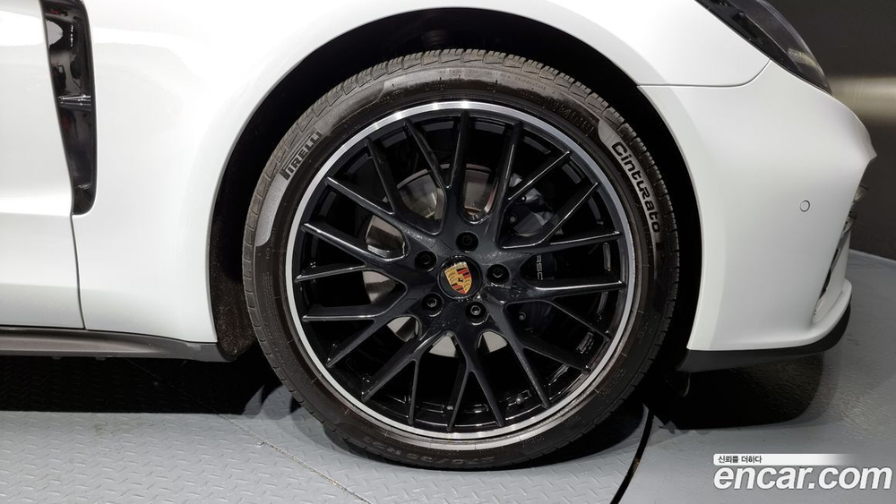 Porsche Panamera (971) 2.9 AWD Platinum Editions (08.2023)