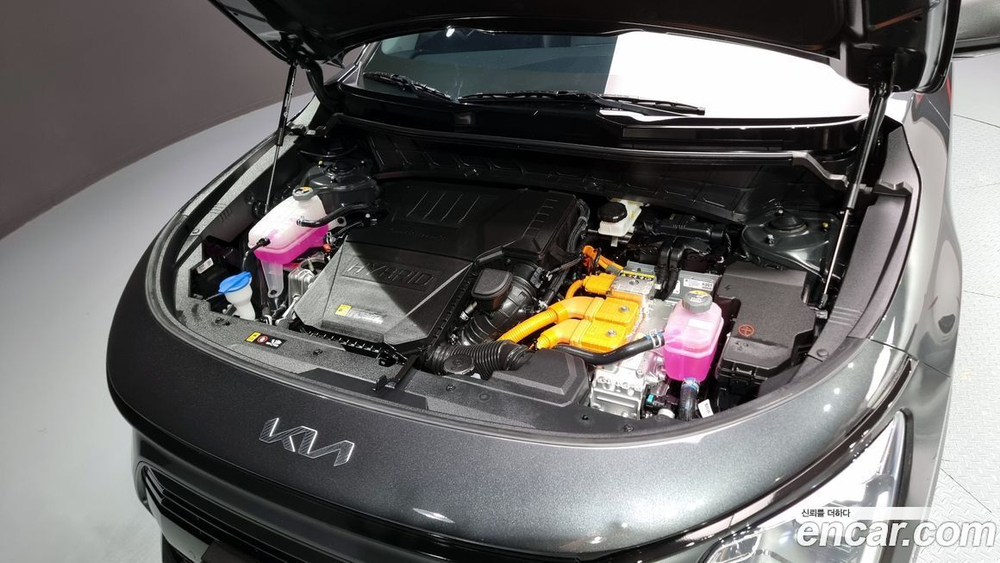 Kia The All New Niro Trendy (04.2024)