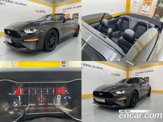 Mustang