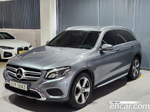 Mercedes-Benz GLC-Class X253 GLC300 4MATIC (08.2019)