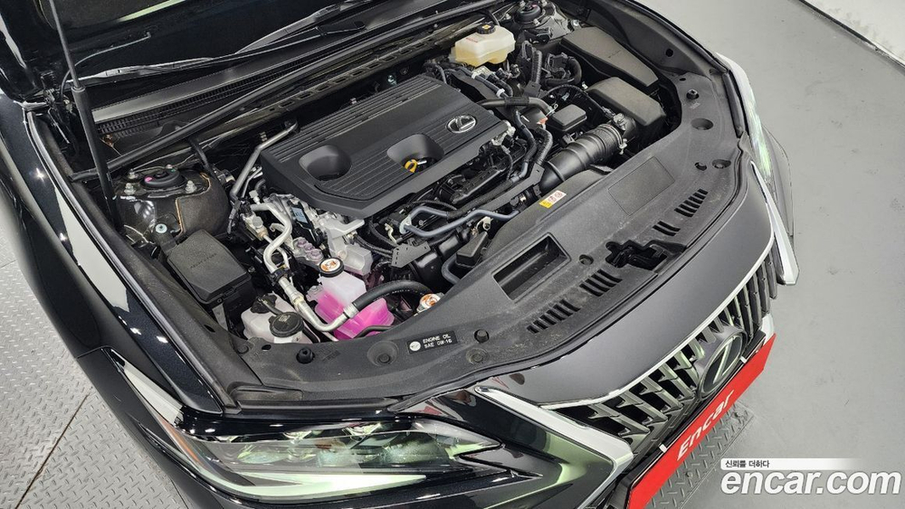 Lexus ES300h 7 Generation Executive (01.2024)