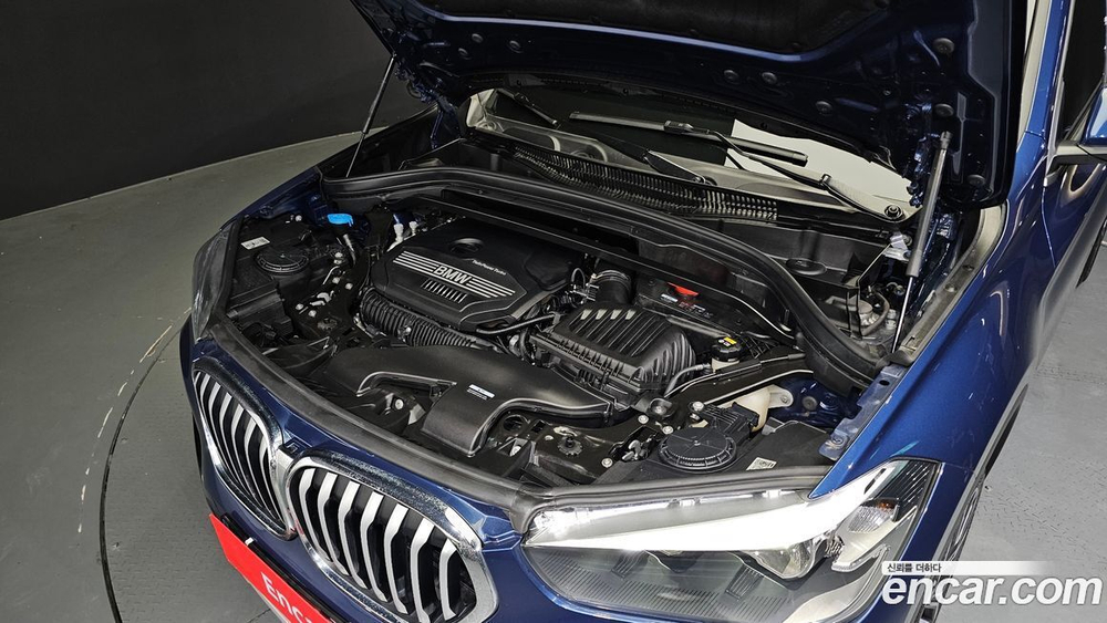 BMW X1 (F48) xDrive 20i xLine (07.2022)