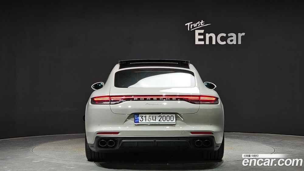 Porsche Panamera (971) 2.9 AWD Platinum Editions (04.2023)