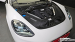 Porsche Panamera (971) 2.9 AWD (03.2021)