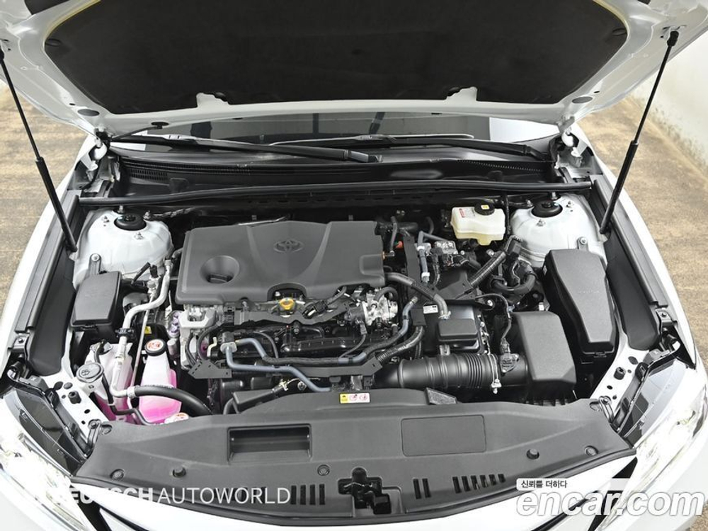 Toyota Camry (XV70) 2.5 XLE Hybrid (10.2023)