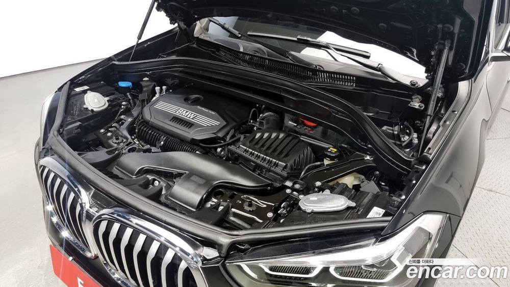 BMW X1 (F48) xDrive 20i xLine (02.2021)